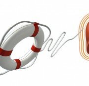 О пищеварении и самаритянке-печени